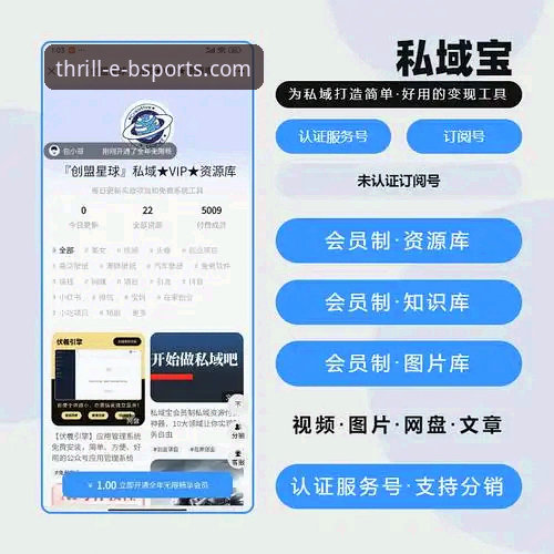 资深玩家亲测：获取b体育官网下载链接与高效使用全攻略